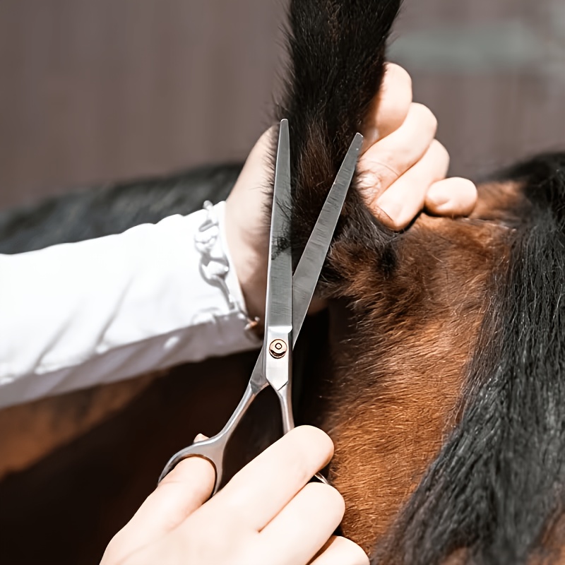 Grooming Kit Horse - At Bakım Seti Paslanmaz Çelik İnce