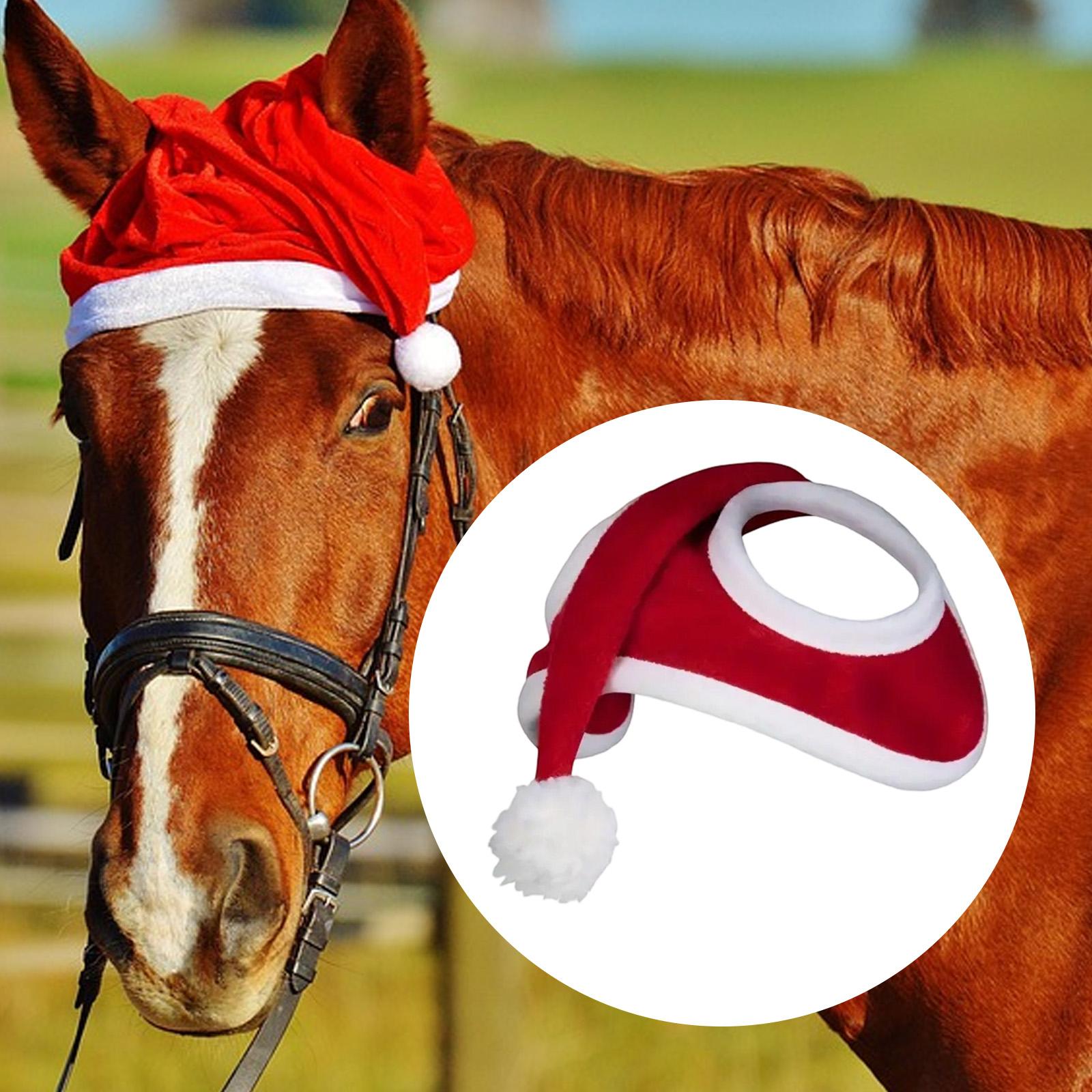 Noel Atı Şapkası, Giydirme, Çi - Grooming Kit Horse incelemesi ve fiyatı