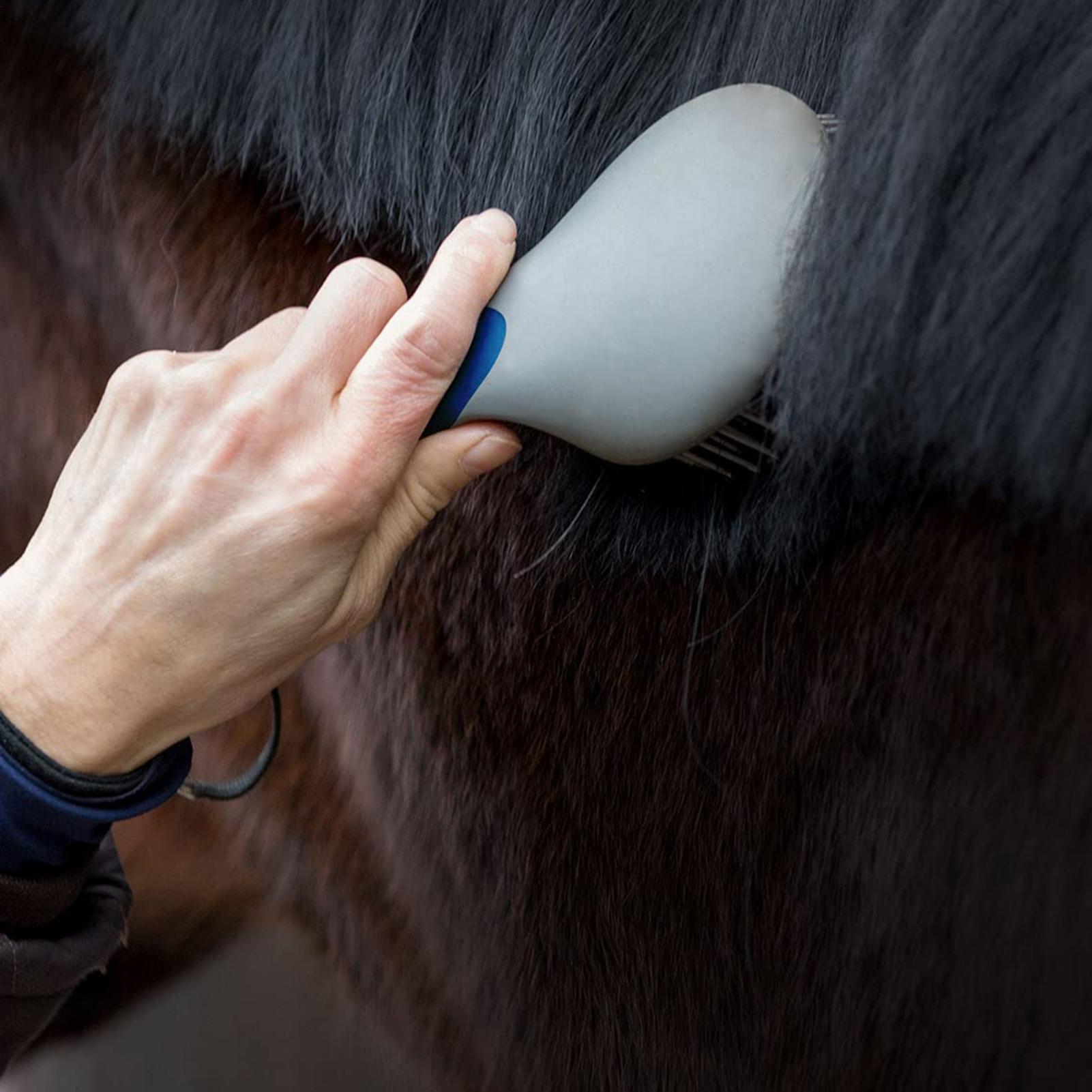 Profesyonel Bakım İçin At Fırç - Grooming Kit Horse incelemesi ve fiyatı