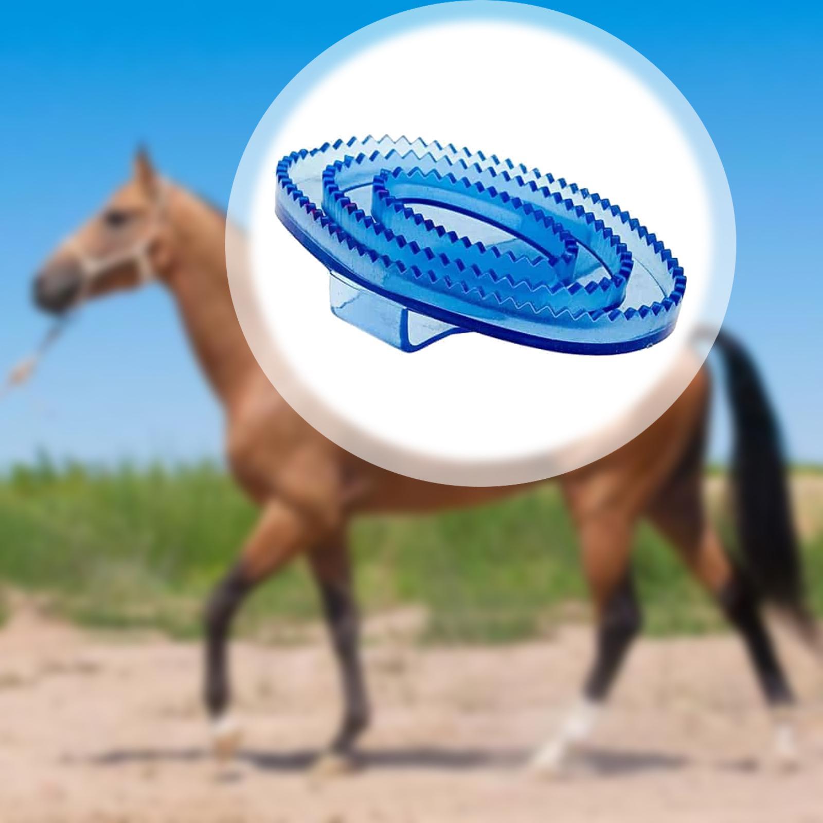 At Bakım Masajı Köri Fırçası P - Grooming Kit Horse incelemesi ve fiyatı
