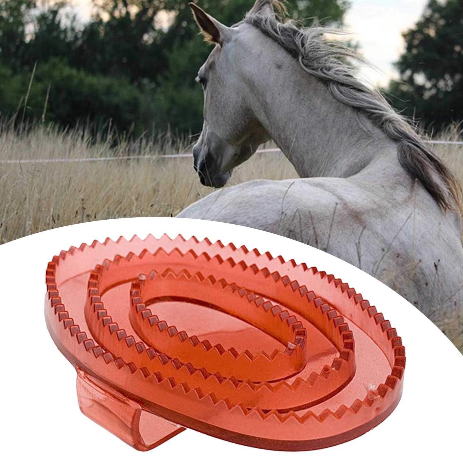 At Bakım Masajı Köri Fırçası P - Grooming Kit Horse incelemesi ve fiyatı