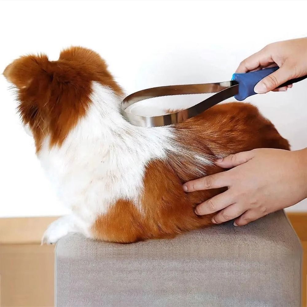 1 Adet Yeni Kaymaz At Bakım Ta - Grooming Kit Horse incelemesi ve fiyatı